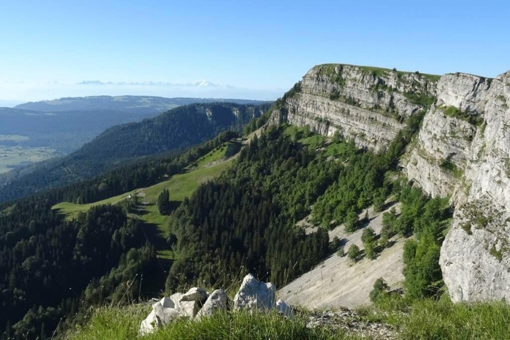 Studio « Le Petit Montagnard » Malbuisson Exterior photo